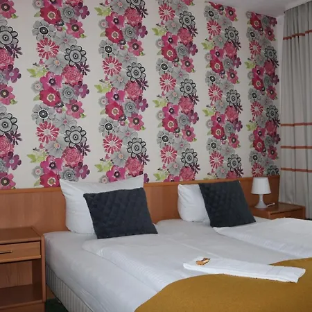 Waldhotel Harz Hotel Ilsenburg