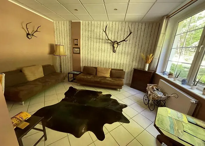 Waldhotel Harz 酒店 伊尔森堡