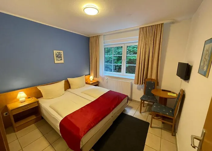 酒店 Waldhotel Harz 3*