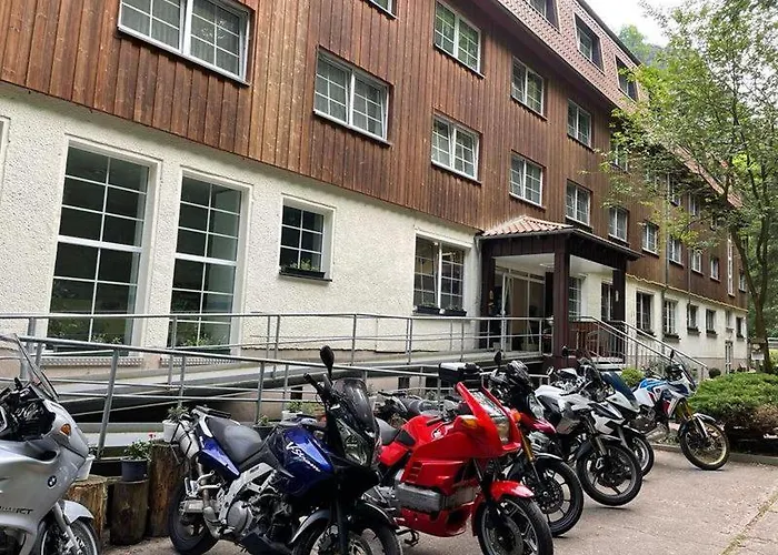 酒店 Waldhotel Harz 伊尔森堡