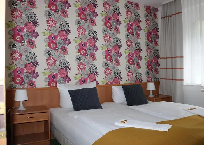 Waldhotel Harz 酒店 伊尔森堡