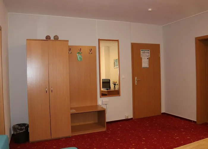 Waldhotel Harz 3* 伊尔森堡