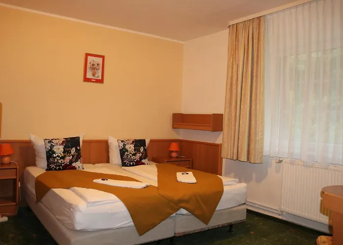 Waldhotel Harz 伊尔森堡